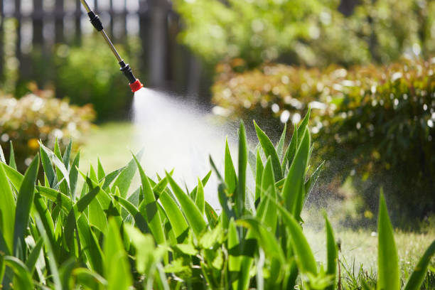 Tamper-Resistant Bait Stations for Rodents in Grape Creek