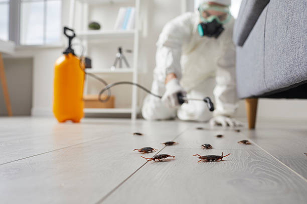 Commercial Rodent Management in Grape Creek